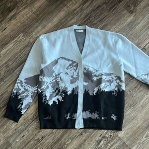 Zara Winter Graphic Cardigan